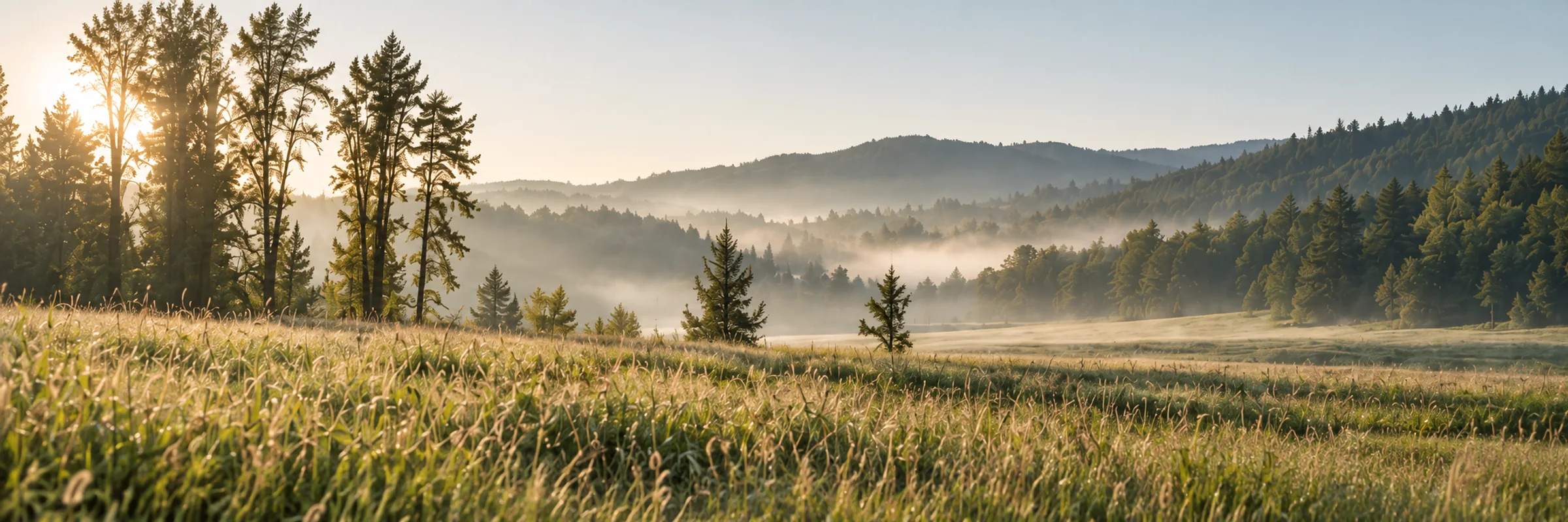 Morning sunlight across a quiet meadow and mist-covered forest hills